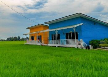 SEKTOR pelancongan yang berupaya menjana pendapatan sehingga RM30,000 sebulan menyebabkan ramai pemilik atau pengusaha sawah padi di sekitar Sabak Bernam membina homestay.