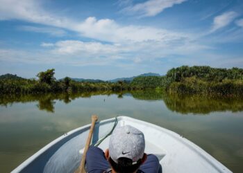 PENANAMAN pokok perlu dibuat secepat mungkin khususnya di tebing sungai-sungai di zon teras bagi mengurangkan hakisan tanah. – UTUSAN/MUHAMAD IQBAL ROSLI