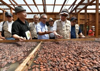 FADILLAH Fadillah Yusof melawat ladang koko pada Program Tanaman Koko sempena Trek Komoditi Zon Tengah 2023 di Kebun Lees Cocoa Farm, Tanjung Sepat, Selangor. - UTUSAN/ FAISOL MUSTAFA
