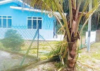 KEADAAN pagar surau serta pokok kelapa di Kampung Orang Asli Sedohok yang rosak dimusnahkan gajah liar awal semalam.