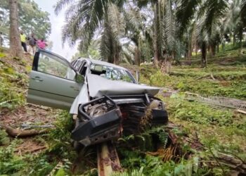 KEADAAN pikap remuk selepas merempuh pokok sawit di Jalan Felda Aring 2 di Gua Musang, Kelantan, hari ini.-IHSAN POLIS.