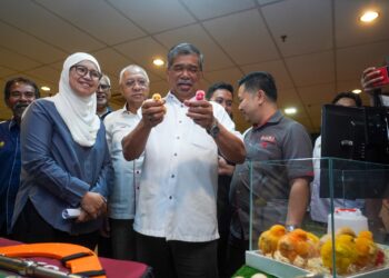 MOHAMAD Sabu melihat anak ayam daging pada Program Santai Peladang di Hotel Muar Traders, Muar, Johor. - UTUSAN/SHIDDIEQIIN ZON