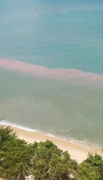 Fenomena air pasang merah di perairan Pulau Pinang tunjuk penurunan