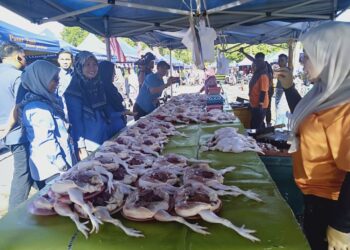 ZURIANA Mat Adam (dua kiri) bertemu peniaga ayam ketika hadir pada program Jualan Khas Agro Madani di tapak Pasar Tani FAMA di Jalan Peteri, Sungai Petani.
