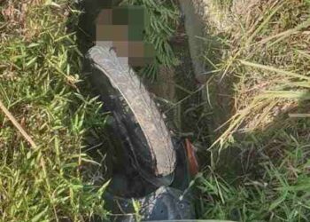 MAYAT lelaki hilang sejak sembilan hari lalu ditemukan dalam longkang berhadapan Kem Lok Kawi, Penampang semalam.