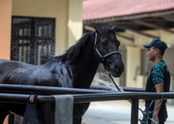 Muhammad Mukhriz Mhd. Pauzi ketika sesi bouding selepas melakukan sesi rutin harian bersama kuda bernama Gaucho. – Utusan/FAISOL MUSTAFA