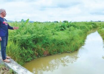 MD. KHALIL Salleh menunjukkan tinggalan sejarah 'parit gila’ yang dikaitkan dengan pendudukan askar Jepun yang masih tersisa di kampung kelahirannya di Kampung Guar Kepah, Kepala Batas, Pulau Pinang.