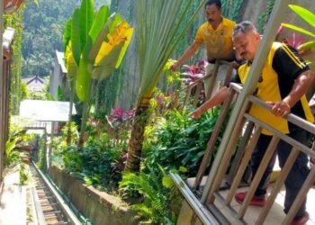 LOKASI kejadian gondola terjatuh di sebuah pusat peranginan di Banjer Kedewatan, daerah Ubud di Bali. - AGENSI