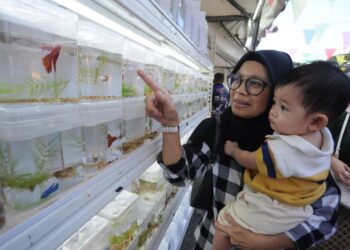 ROSZANA ABU BAKAR mendukung cucunya, Raja Ariz Edress melihat pameran ikan laga ketika mengunjungi MJF 2023 di Puteri Harbour, Iskandar Puteri.