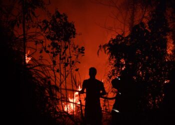 KES kebakaran hutan yang berlaku di seluruh Indonesia sejak Januari hingga Ogos ini hampir mencecah 500 kes. - AFP