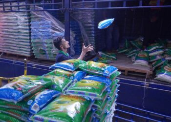 KEBERGANTUNGAN negara terhadap bekalan beras import bagi menampung permintaan rakyat semakin tinggi. – UTUSAN/FAUZI BAHARUDIN