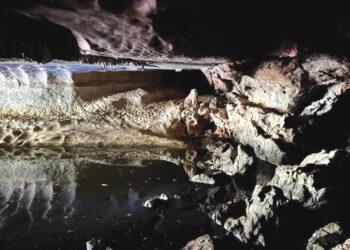 ANTARA lokasi di Geotapak Bukit Jernih yang mempunyai nilai warisan geologi dan biologi yang tinggi di Bukit Jernih, Perlis.- UTUSAN