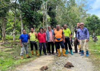 PEKEBUN mahu kerajaan memberi pampasan  kepada pemilik tanaman yang mengalami kerugian disebabkan serangan haiwan liar di Gua Musang, Kelantan.-UTUSAN/AIMUNI TUAN LAH.