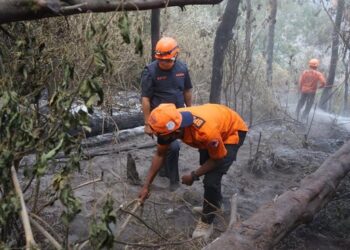 PETUGAS memeriksa keadaan tanah yang terjejas akibat kebakaran hutan di Gunung Bromo, Jawa Timur.-AGENSI