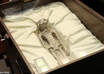 RANGKA makhluk asing berusia 1,000 tahun yang didakwa ditemukan di Peru.-AGENSI
