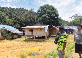 UDA Busu (kiri) menunjukkan ladang durian berhampiran Kampung Kelaik, Pos Blau, Gua Musang, Kelantan. 
– UTUSAN/AIMUNI TUAN LAH