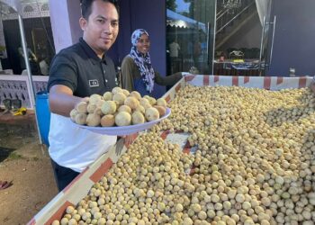 KAKITANGAN FAMA menunjukkan buah duku yang dikumpul di Pusat Pengumpulan Duku di Kampung Durian Bador, Hulu Terengganu. - UTUSAN/KAMALIZA KAMARUDDIN