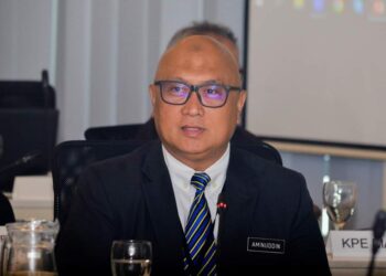 AMINUDDIN HASSIM