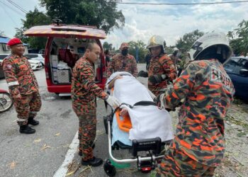 ANGGOTA bomba mengeluarkan mangsa yang cedera tertusuk kayu pada bahagian paha kirinya dari sebuah kereta yang dihempap pokok di Taman Desa Rahmat, Johor Bahru.