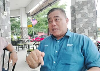 Ketua Bersatu Bahagian Bakri, Mahadzir Said