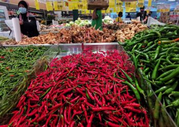 UNTUK mengatasi tekanan inflasi makanan, usaha dikerah untuk meningkatkan stok barangan bagi mengimbangi harga dan menambah baik kecekapan sistem pengedaran. – UTUSAN/MOHD. SHAHJEHAN MAAMIN