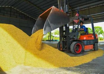 Harga belian padi perlu dikembalikan kepada RM1,700 satu tan sehingga habis musim menuai bagi memastikan pesawah tidak menanggung beban dan kerugian yang tinggi.