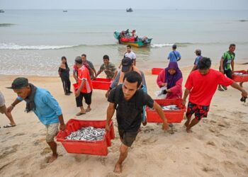 KADAR nisbah sara diri (SSR) bagi ikan sebanyak 9.7 peratus adalah situasi yang amat menyedihkan
memandangkan Malaysia sebagai sebuah negara maritim tidak patut mengimport ikan sebegitu
banyak bagi memenuhi keperluan negara. – UTUSAN/PUQTRA HAIRRY