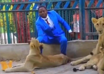 TANGKAP layar video menunjukkan Pastor Daniel duduk di dalam kandang singa di Nigeria.-AGENSI