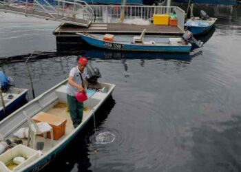 DALAM kejadian sebelum ini seorang nelayan, Alimman Jamat  menunjukkan air Sungai Masai yang bertukar hitam dan berbau busuk di Kampung Pasir Gudang Baru, Johor Bahru.
-UTUSAN/RAJA JAAFAR ALI