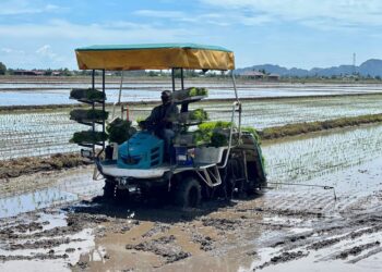 PEMASARAN produk para petani juga perlu dititikberatkan kerajaan.- UTUSAN/MOHD. HAFIZ ABD. MUTALIB