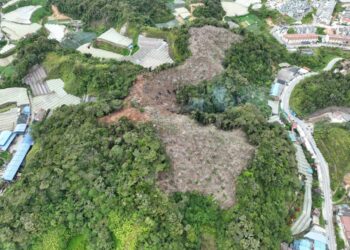 KAWASAN bukit yang sudah dibersihkan untuk projek ekopelancongan di Cameron Highlands. - UTUSAN/IHSAN REACH