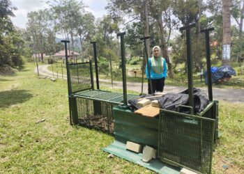 RUSMAZAITI Kamarulzaman menunjukkan perangkap yang dipasang Jabatan Perhilitan berhampiran rumahnya di Kampung Beting Ulu, Kuala Pilah.-UTUSAN/NOR AINNA HAMZAH.