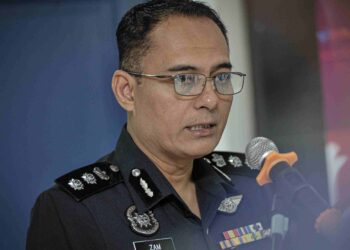 ZAM HALIM JAMALUDDIN