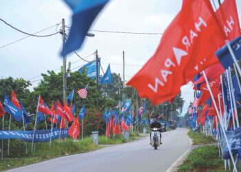 DERETAN bendera Perikatan Nasional dan Pakatan Harapan di sepanjang jalan di Kampung Seri Bukit Batu, Muar, Johor. - UTUSAN/SHIDDIEQIIN ZON