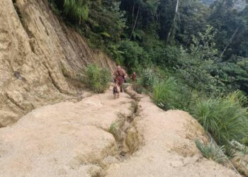 SEORANG anggota bomba dan anjing pengesan sedang mencari seorang warganegara India yang dipercayai hilang di Gunung Jasar, Tanah Rata di Cameron Highlands, Pahang.