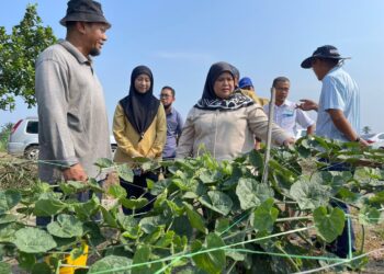 RUBIAH Wang ketika melawat PERDA Food Valley di Ara Kuda, Tasek Gelugor, Pulau Pinang hari ini. - Pix: SITI NUR MAS ERAH AMRAN