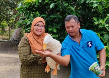 UJANG, antara itik paling manja yang dibela Lina di kediamannya di Alor Gajah, Melaka.-UTUSAN