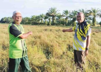 ZAINAL Napiah (kiri) dan Siap Jeraa’i menunjukkan padi angin dan rumput yang tumbuh dalam petak sawah akibat masalah pengairan di Parit Air Itam 2, Bagan Serai. – UTUSAN/WAT KAMAL ABAS