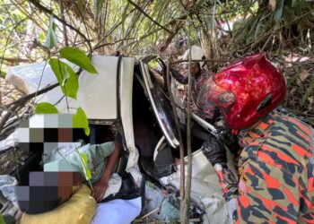 ANGGOTA bomba mengeluarkan mangsa yang tersepit dalam kereta mereka yang terbabas dalam gaung di Batu 13, Jalan Pahang, Tapah hari ini. - UTUSAN/IHSAN JBPM