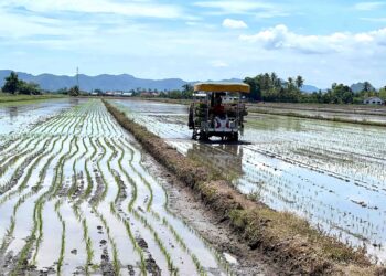 STATUS tanah pertanian terikat dengan Kanun Tanah Negara. - GAMBAR HIASAN