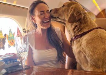 IKLAN terbaharu di laman Instagram K9 Jets yang menawarkan perjalanan dari Dubai ke London bersama anjing peliharaan.-AGENSI