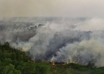 KEBAKARAN hutan dan tanah semakin merebak di Ogan Ilir, Sumatera Selatan. - AFP