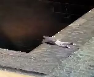 TANGKAP layar video menunjukkan aksi lelaki itu cuba berenang sebelum terjunam ke dalam kolam air di Tugu Peringatan Tragedi 11 September. - AGENSI