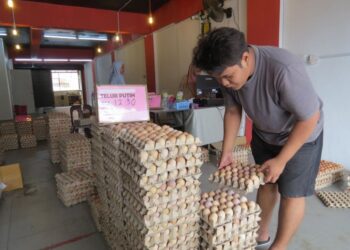 MUHAMMAD Fikri Jaya menyusun bekalan telur yang baru tiba di kedainya di Gua Musang, Kelantan. - UTUSAN/AIMUNI TUAN LAH