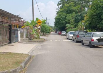 ANTARA kenderaan milik persendirian yang diletakkan di kawasan awam di sekitar Pasir Gudang, Johor.