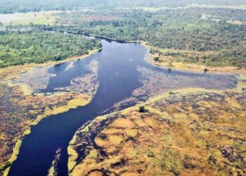 SUNGAI Ruki di Congo. - AGENSI