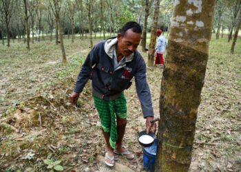 Kerja fleksibel dan sijil khusus perladangan antara usaha yang dilihat kerajaan sebagai satu cara menarik minat pekerja tempatan bekerja di ladang sekali gus dapat mengurangkan pergantungan pekerja asing.  - AFP