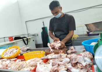 PEMBORONG ayam di Pulau Pinang menjangkakan kenaikan harga ayam tidak akan berlaku dengan mendadak meskipub subsidi dan kawalan harga ayam ditamatkan bermula esok.
