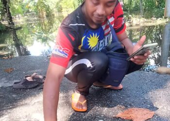 SEORANG penduduk menunjukkan lintah yang muncul semasa banjir di Kampung Simpang Batu 9, Jalan Changkat Jong  di Teluk Intan, Perak. - UTUSAN/AIN SAFRE BIDIN