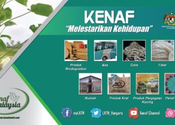 KENAF menjadi salah satu hasilan terbaru produk komoditi negara.